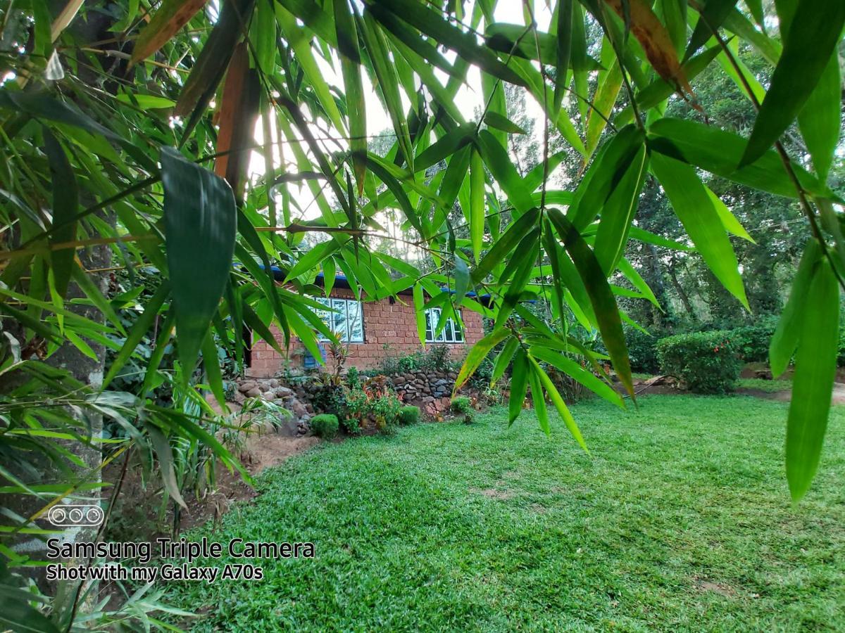 The Dream Apartment Sanivarsante Exterior foto
